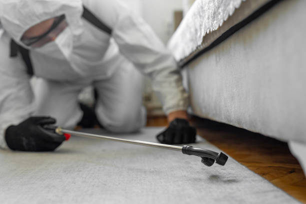 Professional Termite Control technician working in Stanley, NC