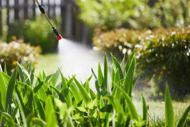24/7 Emergency Termite Control experts in Stanley, NC
